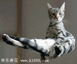 搞笑gif趣图生日时被姐姐捉弄的小妹妹,这姐姐太狠了吧
