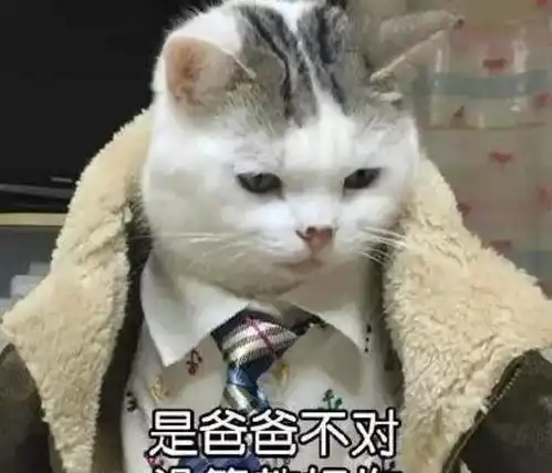 当初万般阻挠你养猫的父母现在都怎么样了
