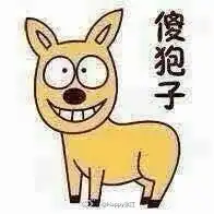 你让人妖怎么看你每日轻松一刻12月12日晚间版
