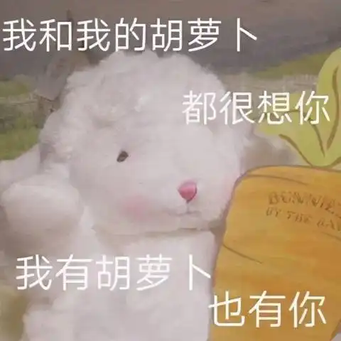 斗图表情包合集我和我的胡萝卜都很想你
