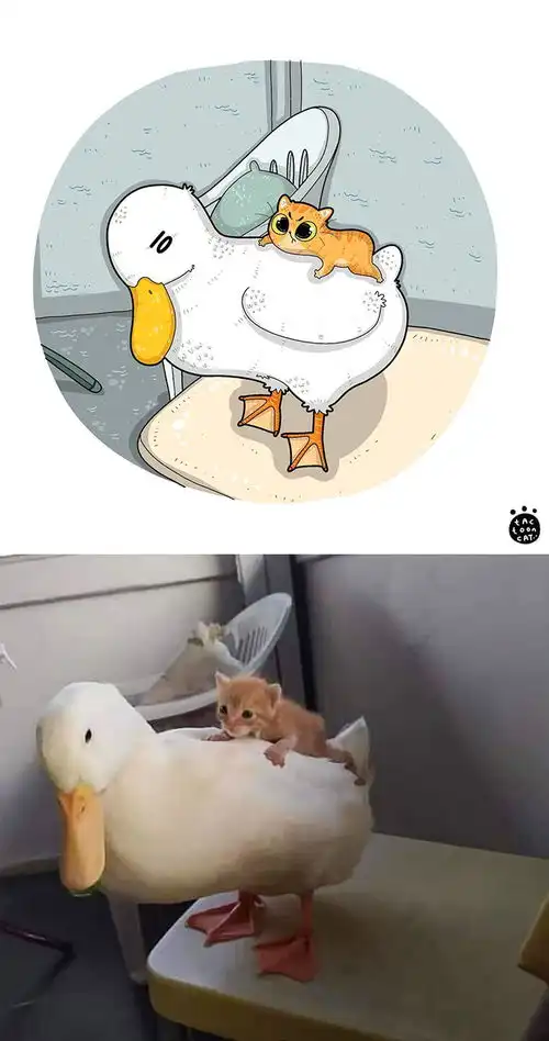 网红猫漫画又上新番了这一次的更搞笑
