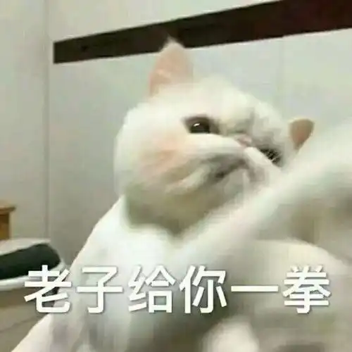 关于我对复活的鲁鲁修pv的看法
