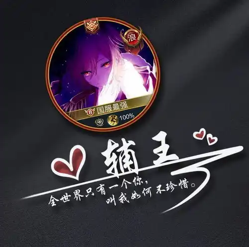 王者荣耀职业辅王签名头像
