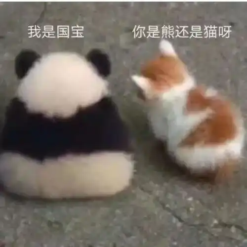 搞笑图片我们啊不辛苦,我们命苦考研大冤种
