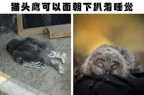 纯蜂蜜永不变质盘点很多人从未听说过的6个有趣冷知识

