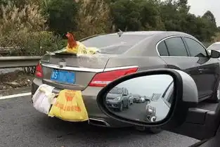 回家过年,你的后备箱都放了啥有些东西可千万不能放
