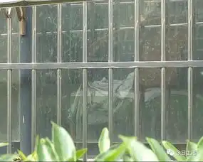 男子家中上吊,空留吊绳晃悠悠,唉

