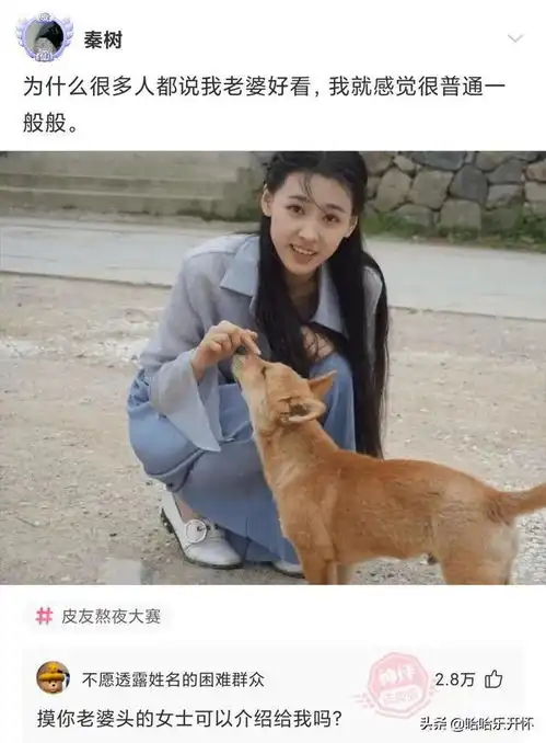 神评爆笑合集丈母娘说自己不胜酒力,我觉得就是不想刷碗,哈哈
