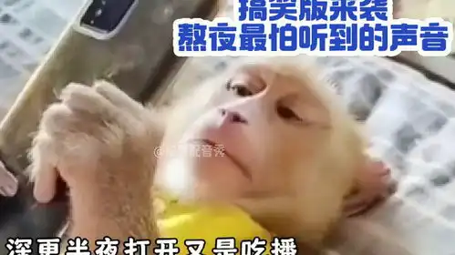 四川话爆笑配音熬夜怕听到的声音,熬穿了天亮了每日一笑
