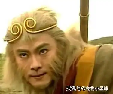 观音给孙悟空戴上了紧箍咒,孙悟空为何不反抗找人帮忙
