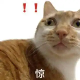 竖起大拇哥丨第964期喵表情包