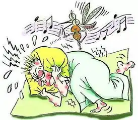 蚊子也有喜好搞清楚这几点让蚊子离你远远地
