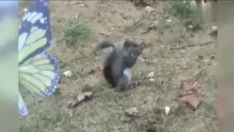 看娱情的建业的个人频道
