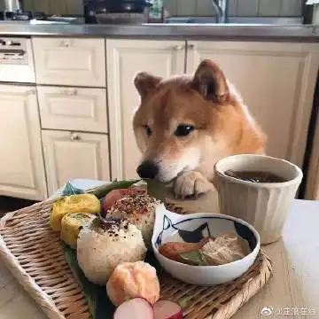 云飞姓柳的微博微博
