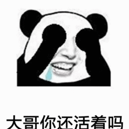 大哥,你还活着吗表情包
