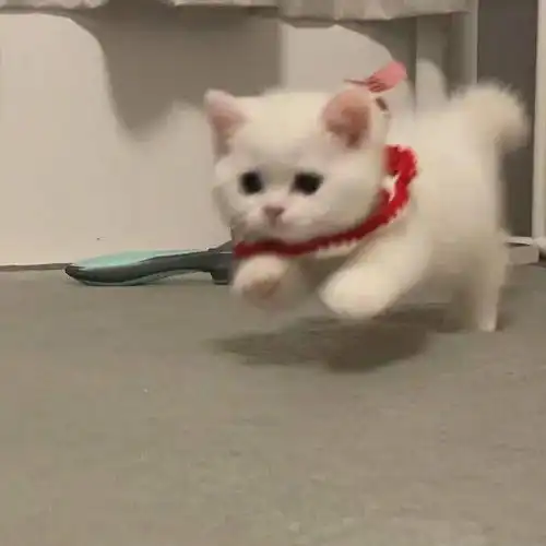 个性搞怪头像
