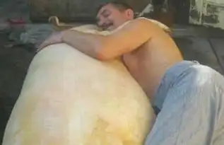 搞笑图片终于明白,老妈为啥不让我喝酒了
