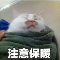 天气渐冷开车前请先检查,或许您的一分钟就能挽救一个小生命
