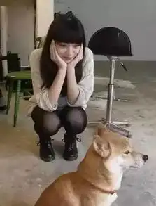 搞笑图片174恶作剧之吓死你不偿命
