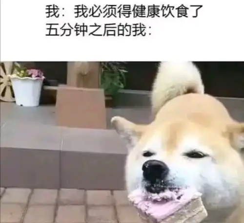 搞笑趣图王者荣耀中哪位英雄的阵亡台词最让你心疼
