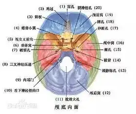株洲宝宝从床上摔下现熊猫眼,这些情况家长一定要警惕
