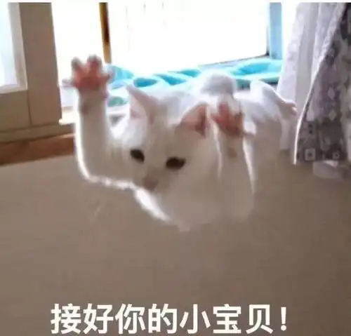 动听童声又来陪你过周末啦
