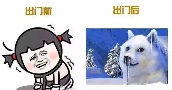 5冻哭更刺激的还在明天
