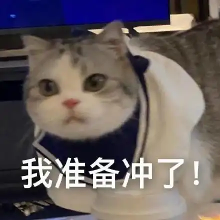 综艺脂粉来互相推荐综艺
