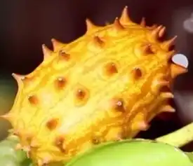 就想问一下这个带刺的玩意是什么水果
