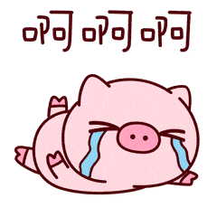 发现有趣丨萌吐血的可爱兔兔
