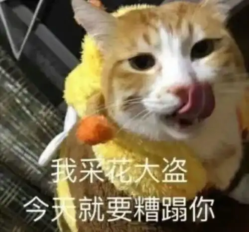 能使人开心的表情包,我玩游戏你不要一直讲话好不好
