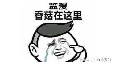 搞笑段子,有两辆豪车相碰,司机二人争论不下
