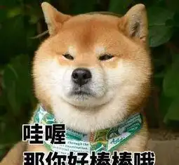 第一次养狗,你都闹过哪些笑话网友你是不是在我家装监控了