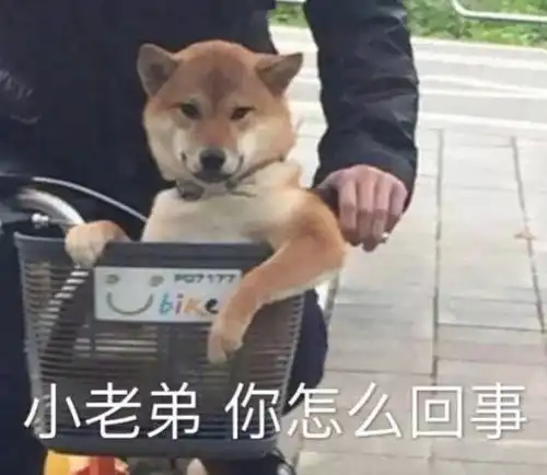 我实名申请这个世界上能有回合制吵架
