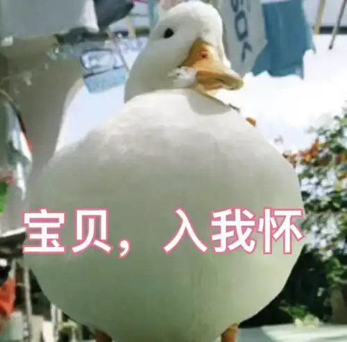今日神段丨逼疯孩子的起名大法,明星们已get到了精髓
