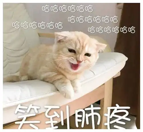 求求大家放过罗志祥吧,我要被段子笑死了哈哈哈哈哈哈哈哈哈
