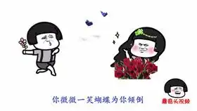 超火神曲我的将军啊改编成搞笑打蚊子版,不说了我去打蚊子了
