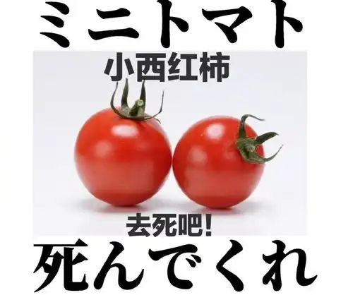 胡说八卦你见过这么虐的表白现场吗反正我是没看过
