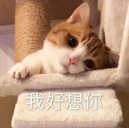 斗图专用表情包我看你是在为难我奥某人

