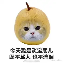 为什么明明自己很好相处,但是别人就觉得你难以接近很高冷,很多和我熟了的人在我不认识的时候都这么说
