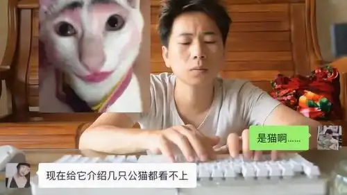 搞笑客服美女买了口红男友都不理,找客服投诉,他们对话太搞笑了
