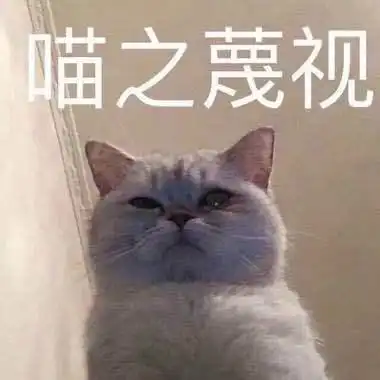 搞笑的猫咪表情包31张,拿去折腾男朋友吧
