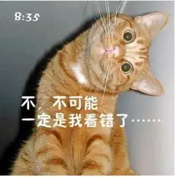 超强ps猫咪屌丝表情演绎上班族的一天
