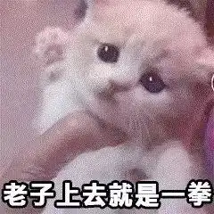 喵星人表情包i脑袋里在开party不晃都不行