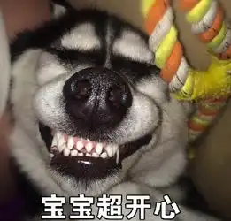 二哈那你很棒棒哦表情包完整版
