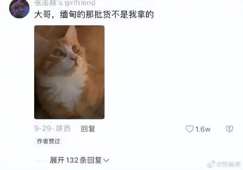 沙雕网友有多会给图片配字分分钟被网友的脑洞和神配图笑晕
