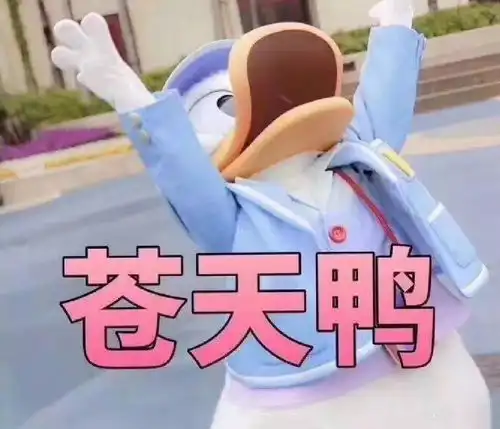 蹲蹲乐这些脑筋急转弯要让你笑出声
