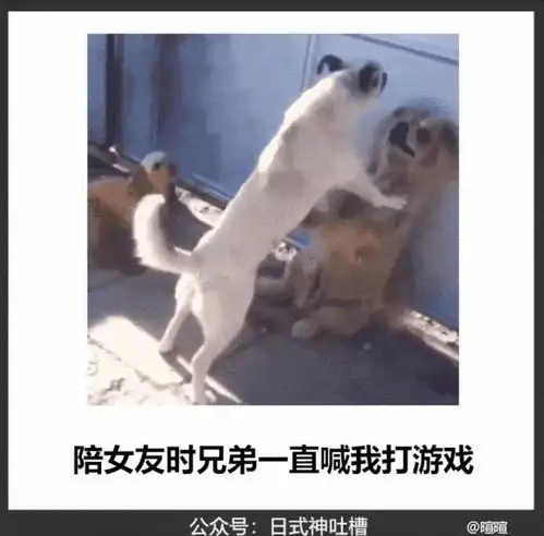 好热啊,大家能讲点冷笑话吗
