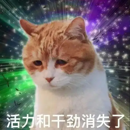 近期热门表情包精选