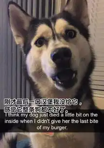 心痛就是和别人上床时心里想着你的名字
